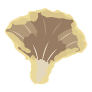 舞茸の天ぷらさんのアイコン