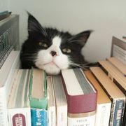 利確童貞さんのアイコン