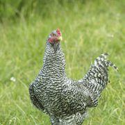 K.Kさんのアイコン