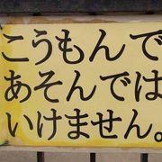さささんのアイコン