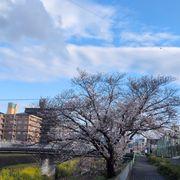 先見の眼さんのアイコン