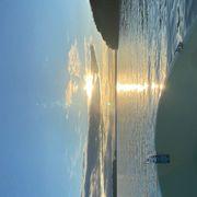 フジモンさんのアイコン