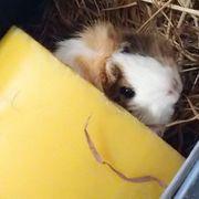 NISA初心者さんのアイコン