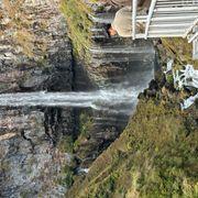 セクさん大好きさんのアイコン