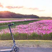 VRさんのアイコン