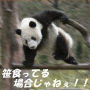 f6a*****さんのアイコン