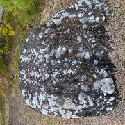 33さんのアイコン