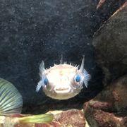 はじめさんのアイコン