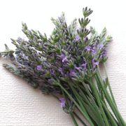 ToMoEさんのアイコン