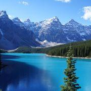 tjmさんのアイコン