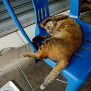 ⚡⚡⚡さんのアイコン