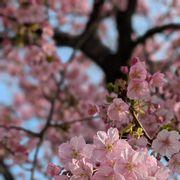 okrbさんのアイコン