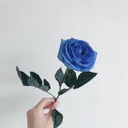 松思瑞さんのアイコン