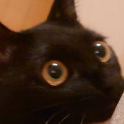 株辻夢山✨さんのアイコン