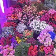 nyanさんのアイコン