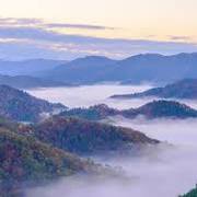 株式仙人さんのアイコン