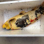 あぁるさんのアイコン