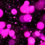 Informer Joeさんのアイコン