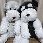 ぎんじん&hearts;&bull;ᴥ&bull;&hearts;おじんさんのアイコン