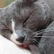 ミさんのアイコン