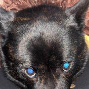 カイ主さんのアイコン