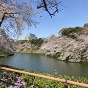 居眠狂四郎さんのアイコン