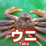 すべすべまんじゅうガニさんのアイコン