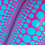 野良稼ぎさんのアイコン