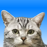 素人さんのアイコン