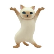 チャイさんのアイコン