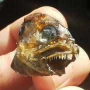 ケンケンさんのアイコン