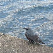 名無しさんのアイコン