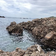 崖から落ちたことありますさんのアイコン