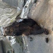 0a4*****さんのアイコン