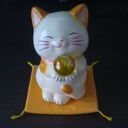 猫派さんのアイコン