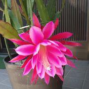 Tac_77さんのアイコン