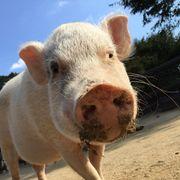 なんでみんなそんな金あるん！？さんのアイコン