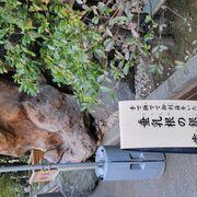 LASさんのアイコン