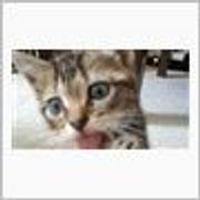 ど素人さんのアイコン