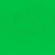 コメツキバッタの大行進さんのアイコン