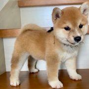 10e*****さんのアイコン