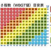 あんずさんのアイコン