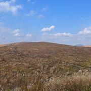 真司0421さんのアイコン