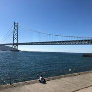 コロナKさんのアイコン