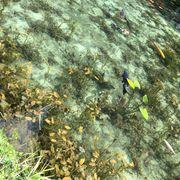 c79*****さんのアイコン