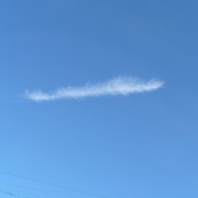 SHOWさんのアイコン