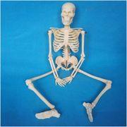 うぇいボーンさんのアイコン