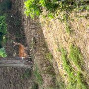 21センチ少年さんのアイコン