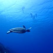 506366さんのアイコン