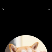 shibaさんのアイコン